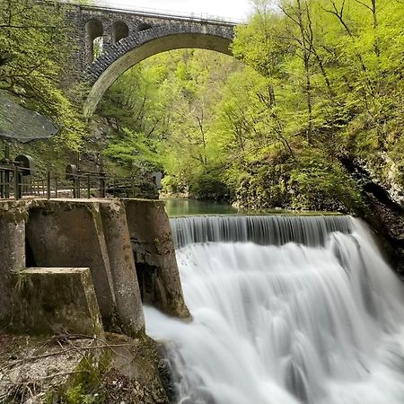 Aparthotel Hom At Vintgar Zgornje Gorje Dış mekan fotoğraf